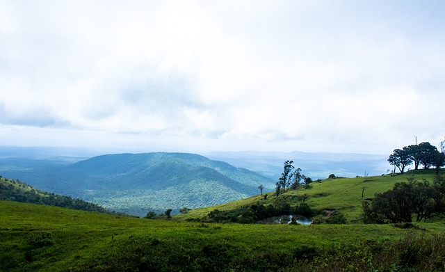 略调整与球 略调整与球