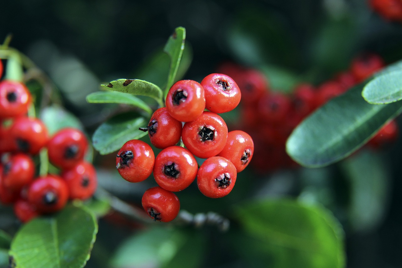 不但难度极 不但难度极