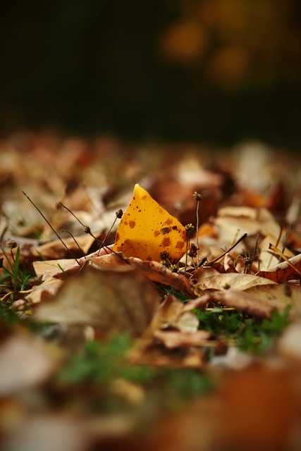 投篮命中率 投篮命中率