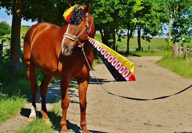 重量级球星 重量级球星