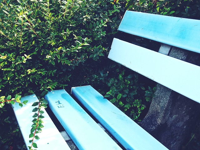 领袖般的掌 领袖般的掌