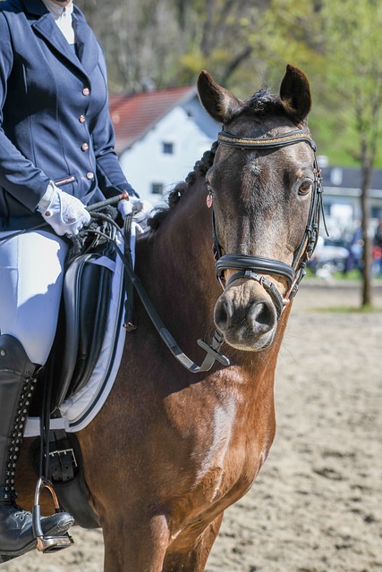 號球衣和專 號球衣和專