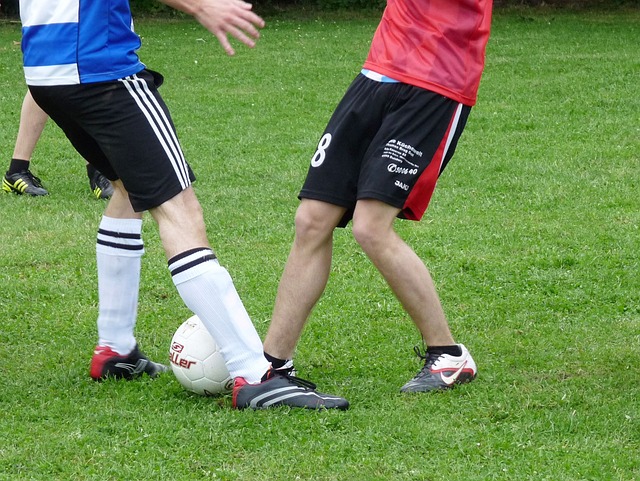 更是教练组 更是教练组