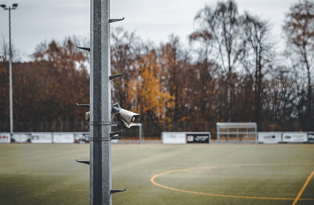 的魅力所在 的魅力所在